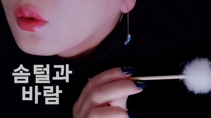 ASMR Suzevi耳朵吹气&毛刷耳搔 Ear Blowing & Brushing (不说话)
